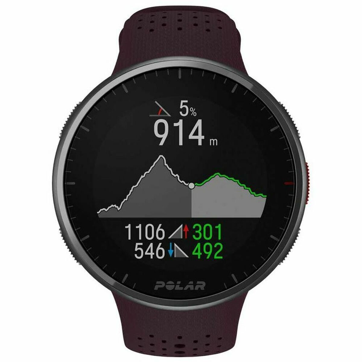 Montre Sportif Polar Pro Marron