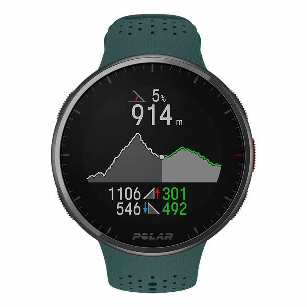 Montre Sportif Polar  Pro Teal Vert (Ø 45 mm)