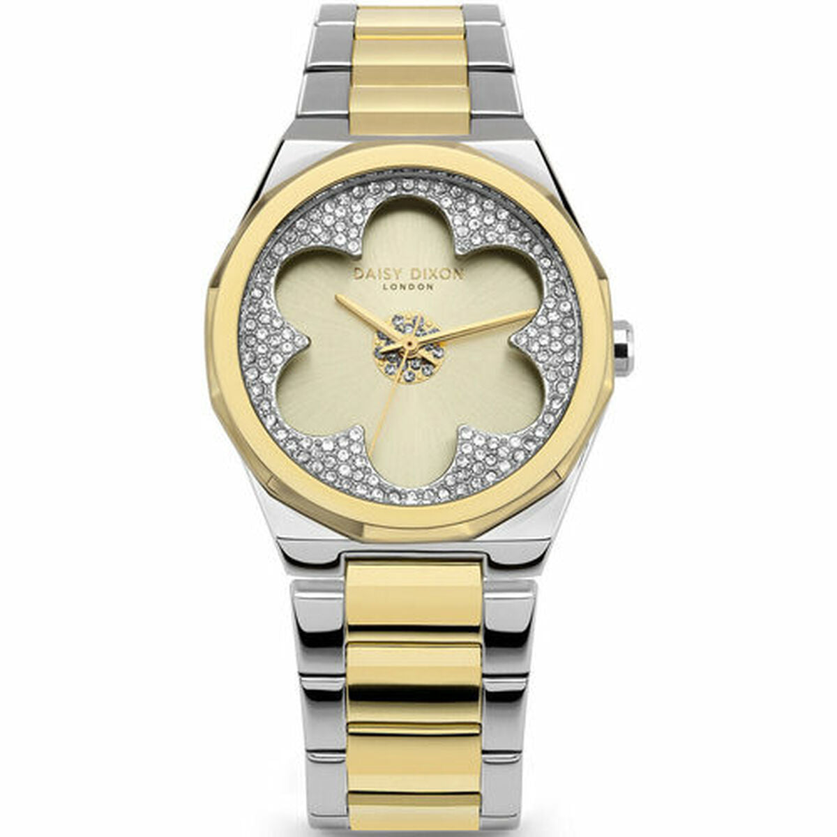 Horloge Dames Daisy Dixon DD168SGM (Ø 36 mm)